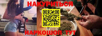 гидра Заводоуковск