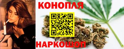 гидра Заводоуковск