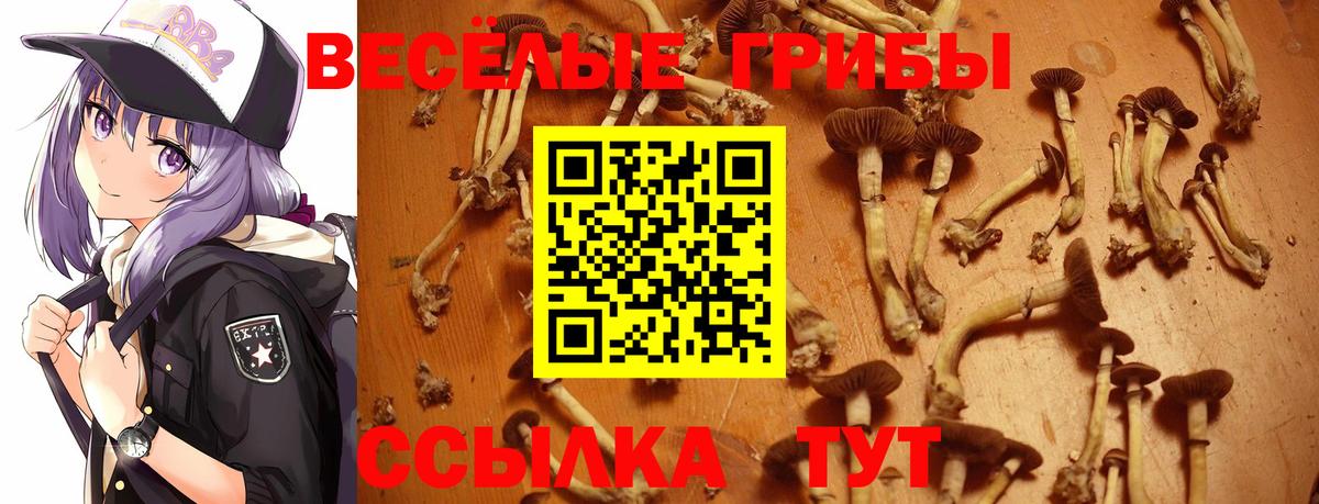 Галлюциногенные грибы GOLDEN TEACHER Лесной